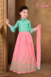 Pista-Pink Fancy Embroidery Dress