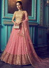 Pink and Gold Net Lehenga