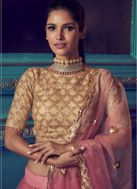 Pink and Gold Net Lehenga